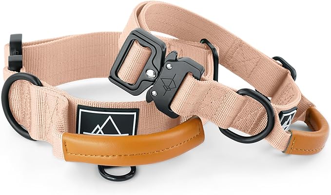 Made to ROAM Premium Explorer Control Collar - Adjustable Heavy Duty Nylon Dog Collar with Quick-Release Metal Buckle and Handle (Carolina Blooms, Control Size 3)