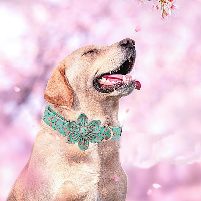 Elegant little tail Dog Collar, Spring Pet Collar with Flower Dog Durable Pink Flower Print Dog Collars Girl Pet Gift Adjustable Dog Collar for X-Large Dogs