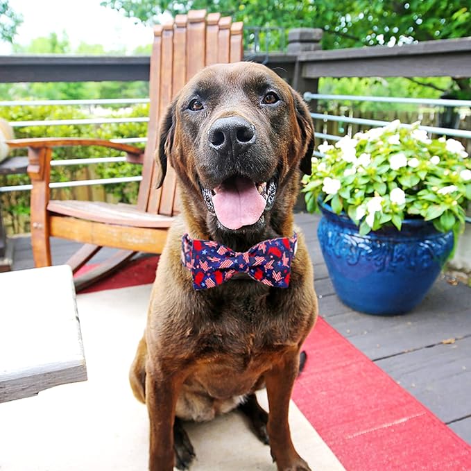 Dog Collar, 4 of July Independence Day American Flag Dog Bow Collar Boy Soft Pet Collar Bowtie Duarble Puppy Collars for Small Medium Large Dog
