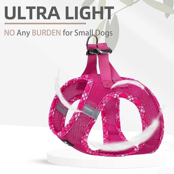 PUPTECK Dog Harness and Leash Set for Small Medium Dogs No Pull Step-in Soft Mesh Puppy Cat Vest Harnesses Reflective at Night, Fuchsia, L