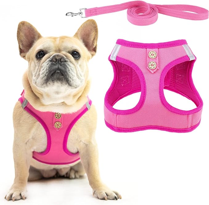 PUPTECK Dog Harness and Leash Set for Small Medium Dogs No Pull Step-in Soft Mesh Puppy Cat Vest Harnesses Reflective at Night, Denim Pink S