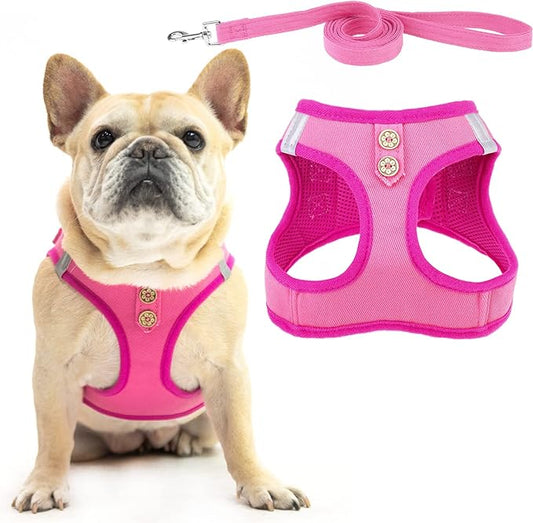 PUPTECK Dog Harness and Leash Set for Small Medium Dogs No Pull Step-in Soft Mesh Puppy Cat Vest Harnesses Reflective at Night, Denim Pink M