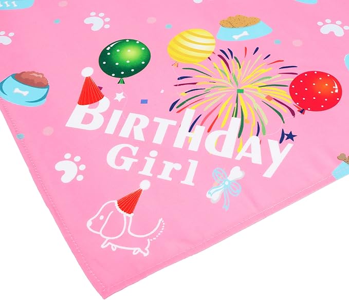 ADOGGYGO Dog Bandana Hat Set for Birthday Party Supply, Boy Girl Pet Birthday Scarf for Medium Large Dog (Large, Pink)