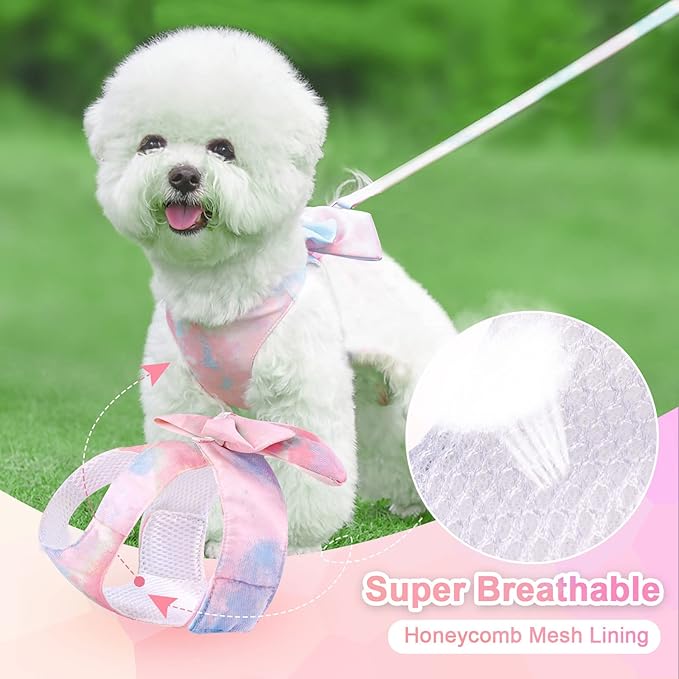 PETCARE Cute Bow Tie Dog Harness and Leash Set Elegant Rainbow Gradient Puppy Harness No Pull Soft Mesh Pet Cat Dog Vest Harnesses for Small Dogs Cats, Blue