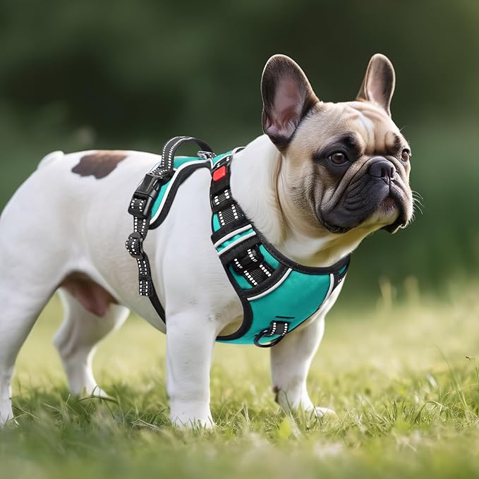 Timos Dog Harness, No-Pull Pet Harness with 2 Leash Clips, Adjustable Soft Padded Dog Vest, Reflective Outdoor Pet Oxford Vest with Easy Control Handle Turquoise