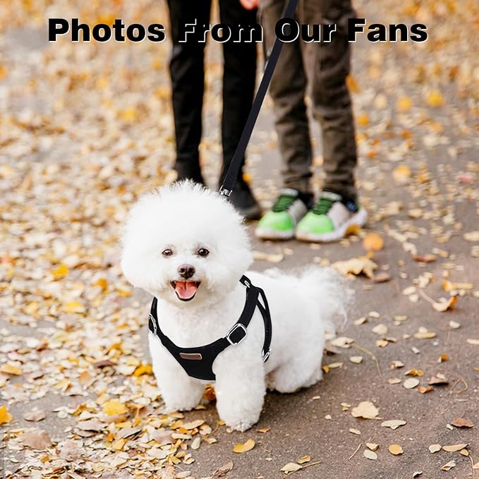 Dog Harness and Leash Set, XXS No Pull Adjustable Puppy Harness with Multifunction Pink Dog Leash and Dog Collar, Soft No Choke Escape Proof Pet Harness Vest for Small Dogs and Cats (Black, M)