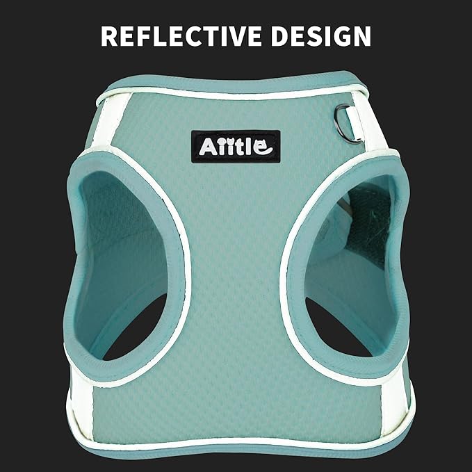 AIITLE Small Dog Harness, No-Pull Cat Harness with a Leash, Step in Adjustable Puppy Harness with Quick-Release Buckle, Reflective Outdoor Pet Vest for Extra Small Dogs and House Cats Turquoise XXS