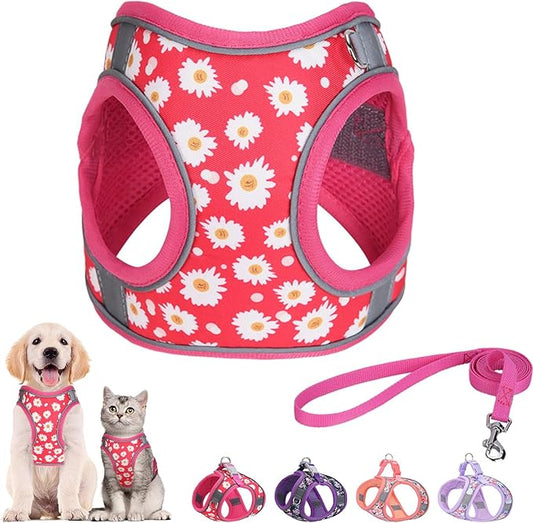 Step in Dog Harness and Leash Set, Flower Adjustable Easy Walk Puppy Harnesses, Soft Mesh Pet Vest Harness Small Size Dog Adjustable No Pull Dog Harness for Small Medium Dogs(Rose red, M)