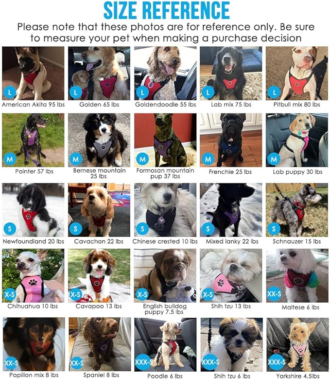 SlowTon Dog Seat Belt Harness for Car, Dog Car Harness Adjustable Mesh Breathable & Dog Seatbelt Safety Tether with Elastic Bungee for Small Medium Large Pets(Blue, Single Clip, XS)