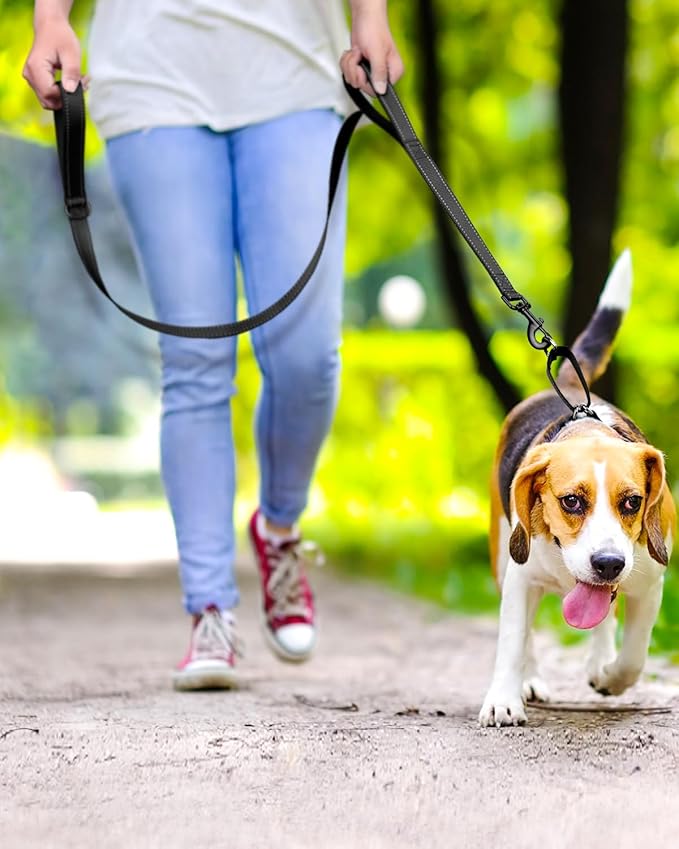 FunTags Reflective Martingale Collar for Dogs, Quick Release Buckle, 5FT Double Handle Dog Leash Padded, Dog Collar and Leash Set, Adjustable for Puppy Dogs (Black, XS)