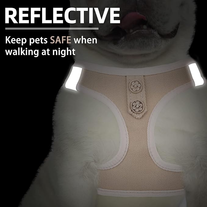 PUPTECK Dog Harness and Leash Set for Small Medium Dogs No Pull Step-in Soft Mesh Puppy Cat Vest Harnesses Reflective at Night, Denim Beige M