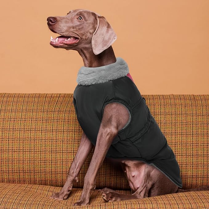 ROZKITCH Dog Jacket for Cold Weather, Dog Coat for Autumn Winter with Turtleneck, Pet Clothes with Adjustable Buckles, Soft Warm Pet Clothing with Reflective Strip for Medium Large Dogs Black 2XL