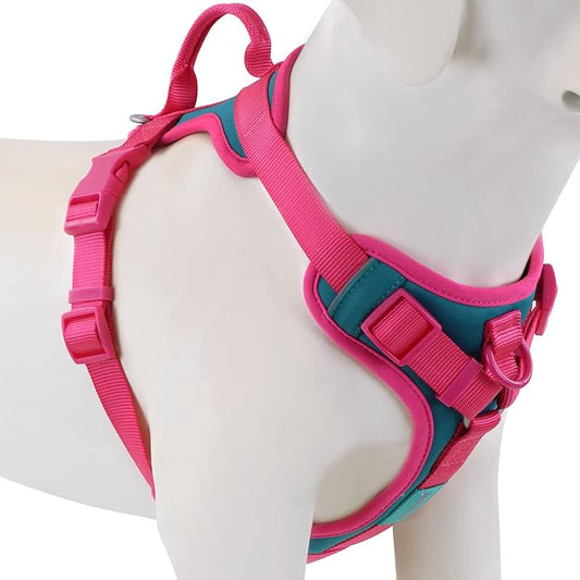 No Pull Dog Harness Adjustable Soft Padded Pet Vest with Control Handle Adorable Daily Harness for Dogs（Viridian Green XL）