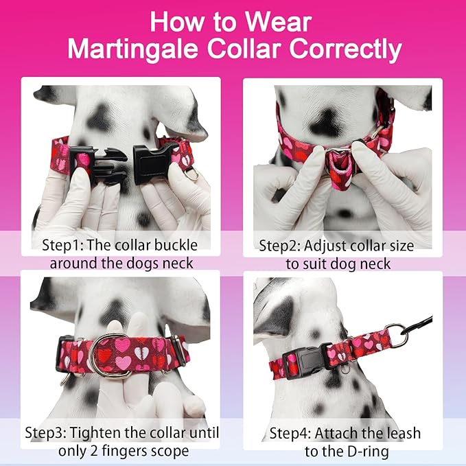 Valentines Pink Martingale Collar for Dogs with Buckle Adjustable Heart Dog Collars (Burgundy Love, Small)