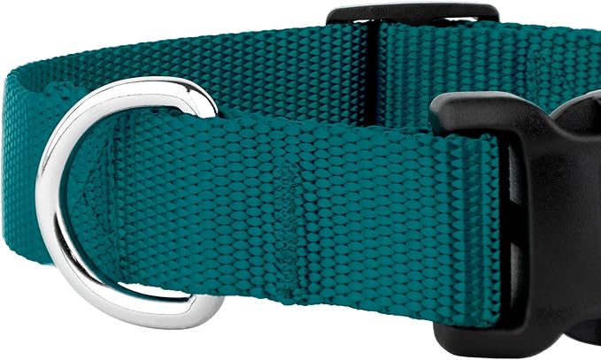 Country Brook Petz - American-Made Dog Collar for Large, Medium, and Small Dogs and Puppies - Deluxe Heavy Duty Nylon in 33 Dazzling Colors (Extra Small, 3/8 Inch Wide, Teal)