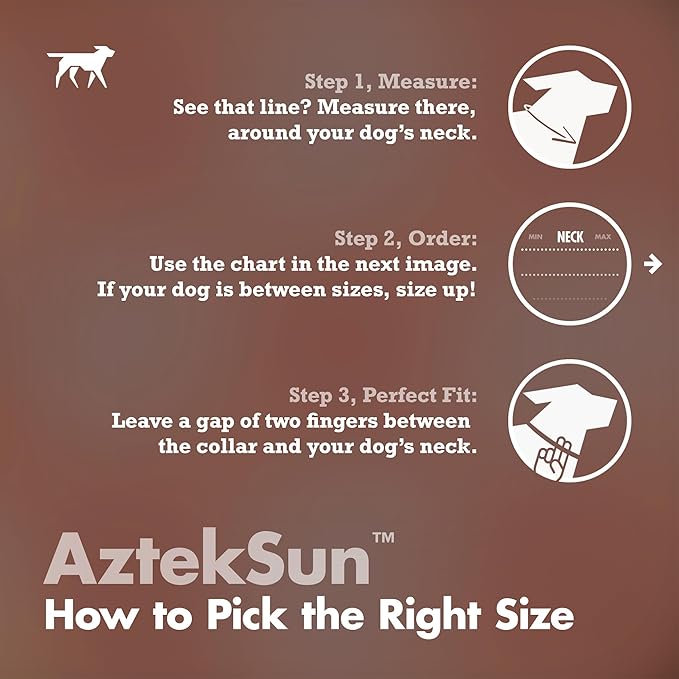 Tuff Pupper Premium Adjustable Dog Collar for Small Boy & Girl Dogs, Stylish Pattern Collars Designed in USA, Quick Release Buckle, AztekSun Print, Small (0.7 Inch Wide x 8-12 Inch Neck)