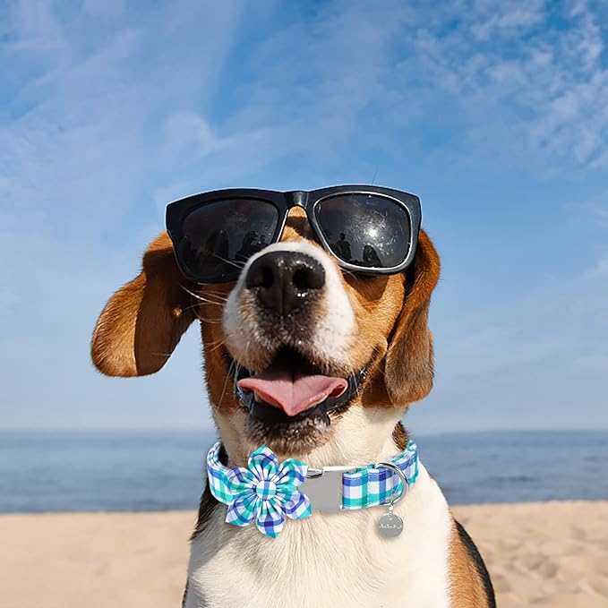 Dog Collar with Flower, Comfortable Durable Cotton Flower Collar for Girl Boy Dog, Adorable Large Dog Collar with Metal Buckle, Blue Grid Gift Collar, L