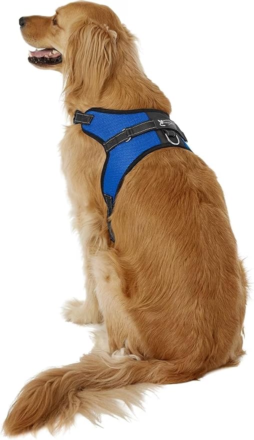 No Pull Reflective Adjustable Dog Harness With Handle- Comfortable Soft All Weather Mesh, Easy On Puppy Harness For Small Medium and Large Dogs (Blue) X-Large