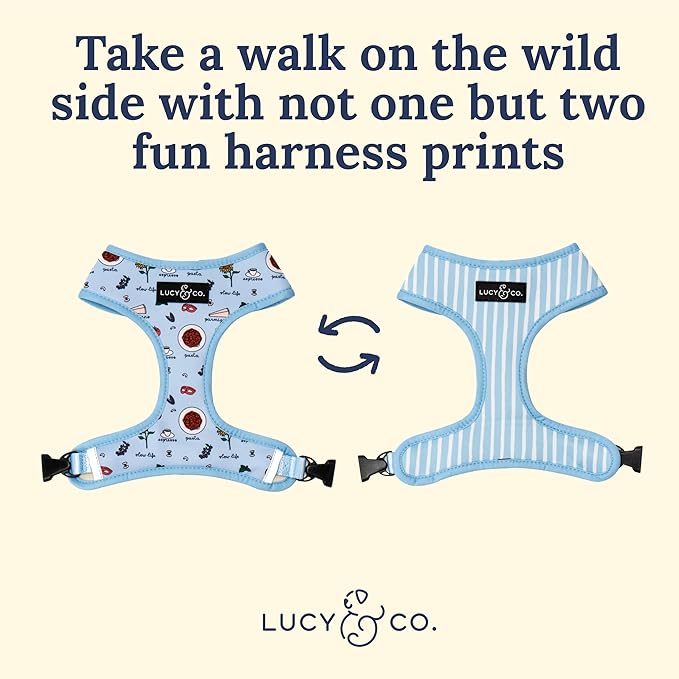 Lucy & Co. Cute Reversible Dog Harness Walking Halter - Best Designer Pet Harnesses for XS - XL Dogs - Padded Adjustable Vest for Easy Walking - Large - Periwinkle Vacation Icons