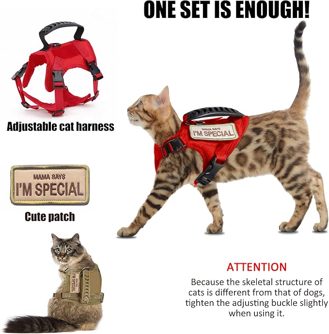 Tactical Cat Harness for Walking Escape Proof, Adjustable Pet Vest Harness, Soft Mesh with Control Handle for Large Cat Small Dog, Gift with Patch