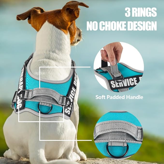 Dog Vest Harness and Leash Set, Animire Reflective Service Dog Vest in Training Dog Harness with 10 Patches, 3 Rings Emotional Support Therapy Dog Harness for Small Medium Large Dogs(Teal,XS)