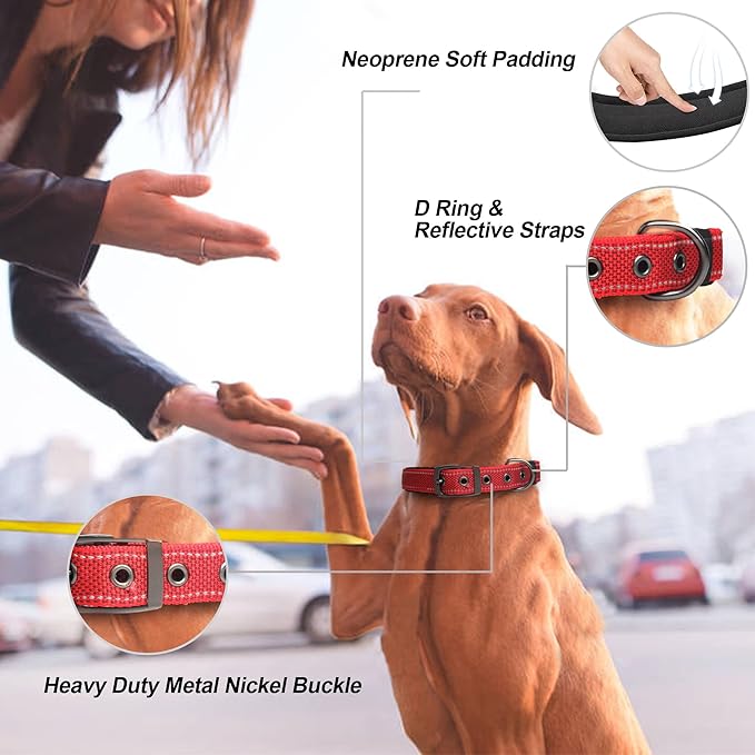 PetiFine Neoprene Padded Dog Collar, Heavy Duty Comfort Dog Collar with Durable Metal Buckle, Reflective Adjustable Belt Buckle Dog Collars for Small Medium Large Dogs(19''-23'', Red)