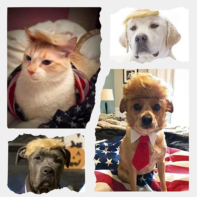 Pet Cat/Dog Blonde Wig with Tie - Iconic and Playful Toupee Hat, Cosplay Dress Up Clothing Costume Halloween Accessories (BlueTie, L)