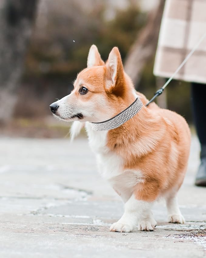 Dog Collar for Small Dogs, Adjustable Leather Suede Bling Dog Collars，Black Dog Collar Cat Collar, Rhinestone Dog Collar (XS, Black)