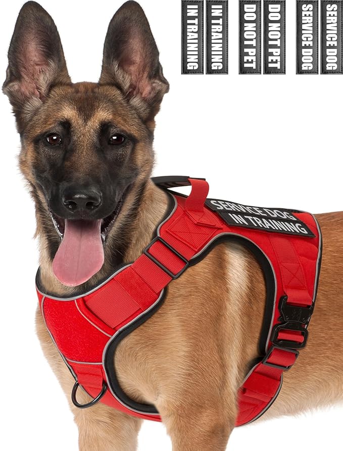 Reflective No Pull Service Dog in Training Vest Harness for Medium Large Dogs, Red Metal Buckles Front Clip Comfort Padded Adjustable Dog Harness with Do Not Pet Patches for Training Walking
