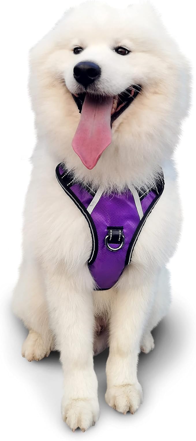 No Pull Dog Harness, Reflective Walking Dog Harness with Easy Control Handle and Front & Back Clips,Adjustable Breathable Soft Padded Dog Vest Harness for Large Medium Small Dogs,Purple,L