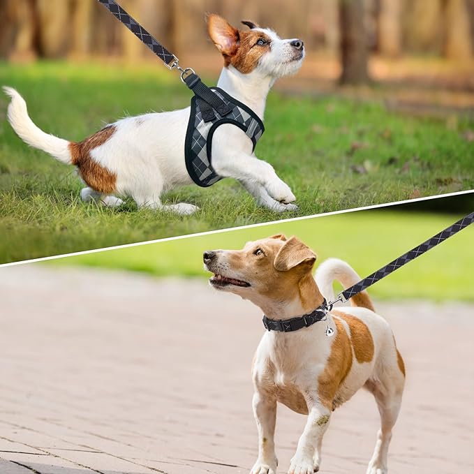 SCENEREAL Dog Harness Collar and Leash Set, Step-in No Pull Pet Vest Harnesses for Small Medium Dogs Puppy Cats, Soft Mesh No-Chock Reflective Vest Harness for Outdoor Walking Running, Black Plaid XS