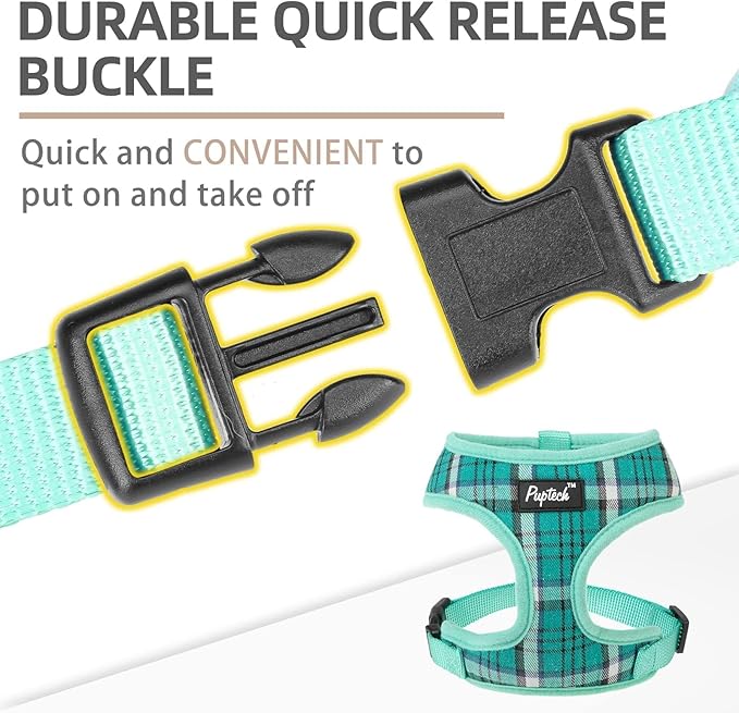 PUPTECK Soft Mesh Dog Harness and Leash Set Pet Puppy Cat Comfort Padded Vest No Pull Harnesses, Green, L
