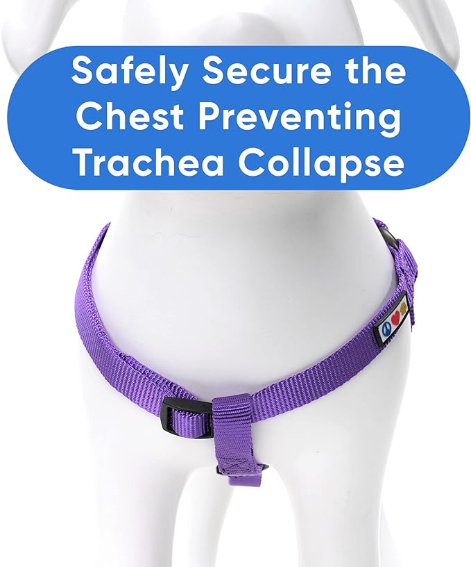 Pawtitas Solid Color Step-in Dog Harness - Purple, Large, for Puppy & Dog Training & Walking