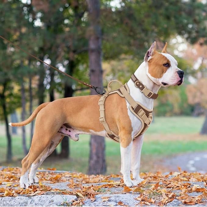 No Pull Dog Harness Adjustable Soft Padded Pet Vest with Control Handle Adorable Daily Harness for Dogs（Chocolate Cookie S）