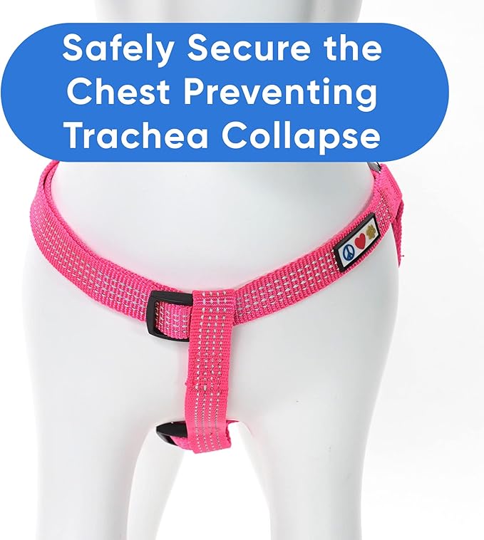 Pawtitas Dog Harness Small Sized Dog Pink Dog Harness Step in from a Senior Dog to a Puppy Harness Adjustable Reflective Dog Harness S Reflective Dog Vest