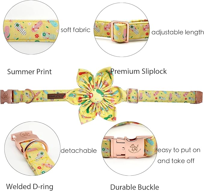 Elegant Little Tail Flower Collar for Small to Large Dogs