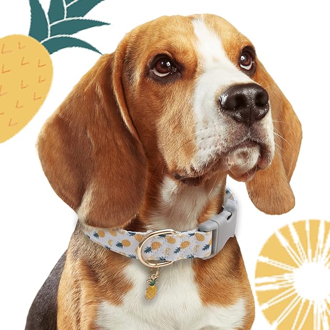Faygarsle Cute Dog Collar for Girls Boy Dogs Soft Fancy Pet Collar with Pineapple Design Ideal Pink Summer Dog Collar for Small Medium Large Dogs S