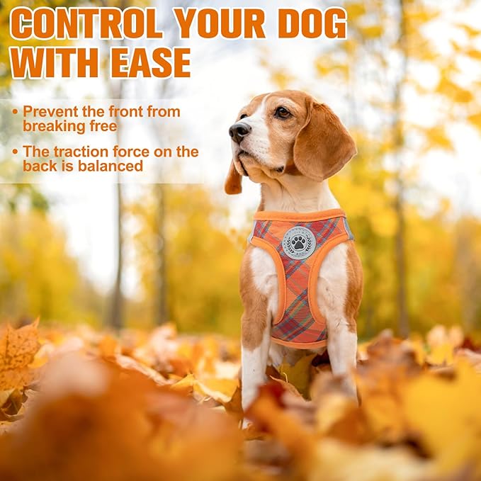 BEAUTYZOO Step in Dog Harness and Leash Set, Reflective Dog Harness No Pull No Choke Puppy Harness for Extra Small Dogs Cats, Soft Padded Mesh Vest Harnesses for Girl and Boy Pets, Orange Plaid XS