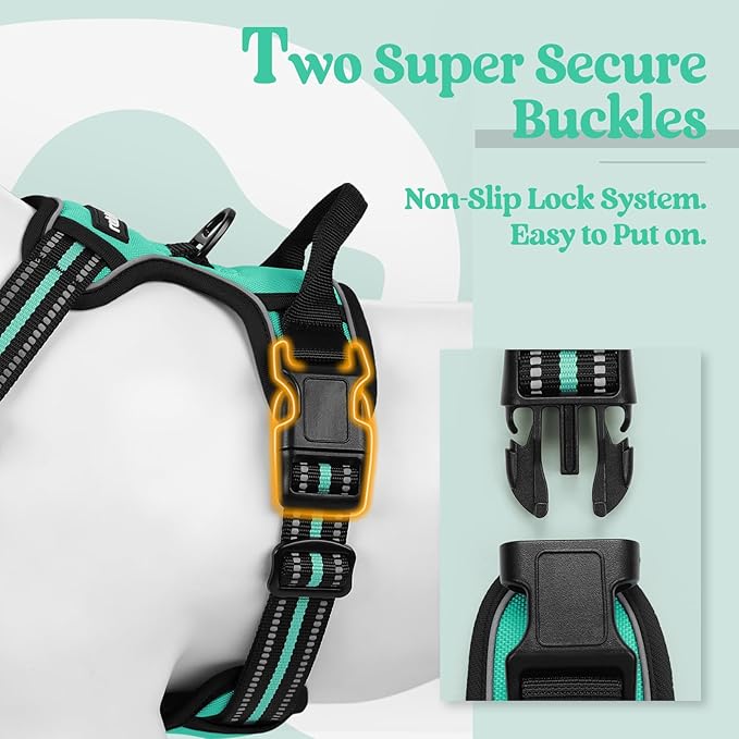 rabbitgoo Dog Harness No Pull with 2 Leash Clips, Adjustable Soft Padded, Reflective Oxford No Choke Pet Vest with Easy Control Handle for Large Dogs, Turquoise, L