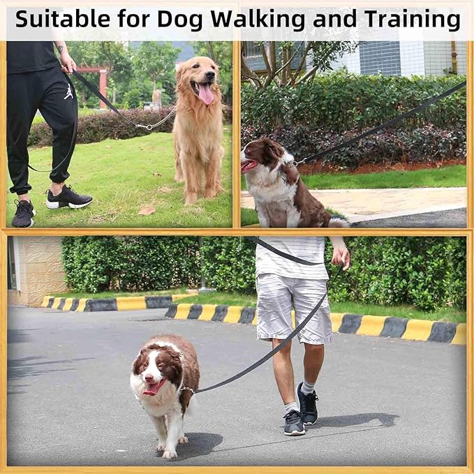 AMAGOOD 6 FT Puppy/Dog Leash, Strong and Durable Traditional Style Leash with Easy to Use Collar Hook, Great for Small, Medium and Large Dogs (1" x 6 ft, Black and Green (2-Pack))