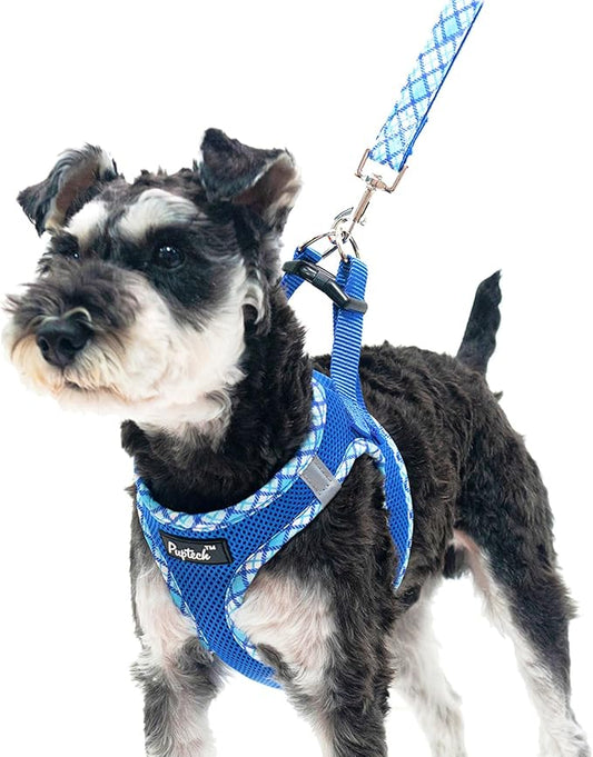 PUPTECK Dog Harness and Leash Set for Small Medium Dogs No Pull Step-in Soft Mesh Puppy Cat Vest Harnesses Reflective at Night, Blue XS