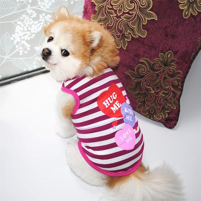 Dog Clothes Girl Pet Cat Clothes Puppy Sweater Summer Tshirts Dachshund Dogs Clothing Female Chihuahua Puppy Apparels