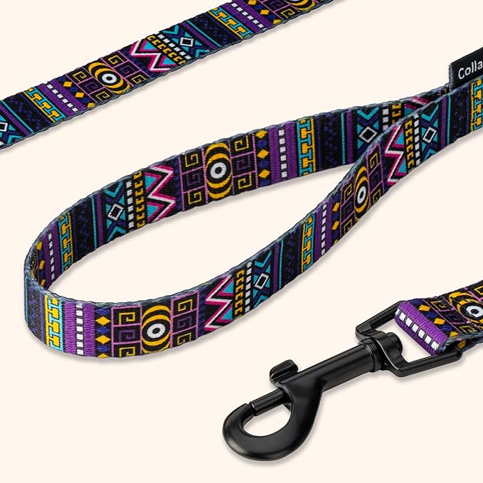 CollarDirect Aztec Dog Leash Nylon Tribal Pattern Cat Pet Leashes for Small Medium Large Dogs Puppy Lead 5 FT Long for Walking (Tribal Magenta, M, New)