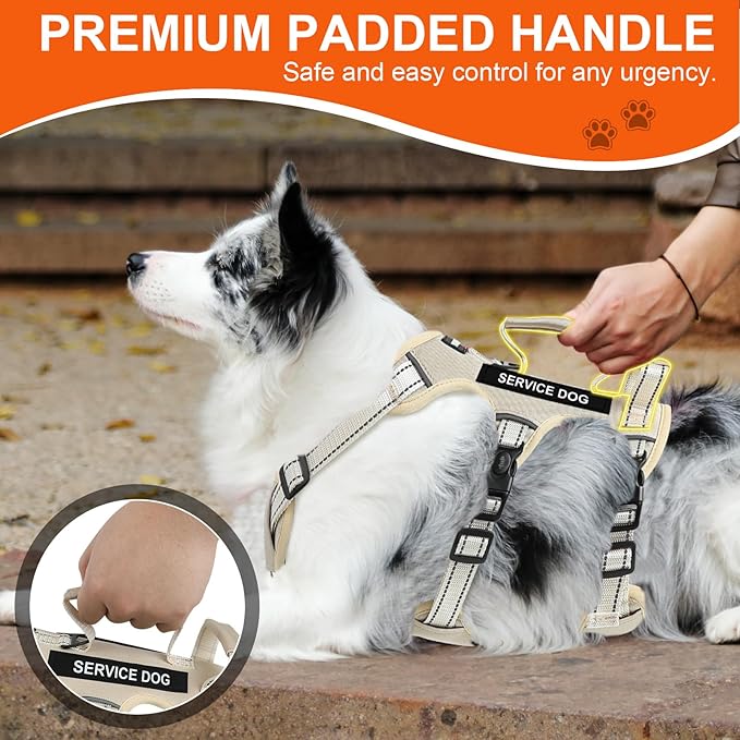 Escape Proof Dog Harness for Large Medium Sized Dogs Six Point Adjustable, Service Dog Vest Harness and Leash Set, No Pull Dogs Harnesses with Handle, XL Dog Harnesses for Walking(Beige, L)