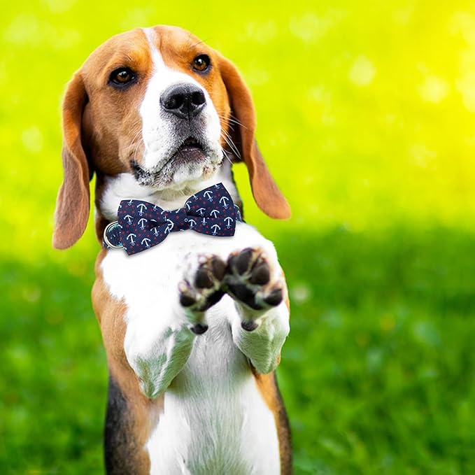 azuza Anchor Dog Collar with Bow Tie, Soft and Comfortable, Adjustable for Extra Small Dogs