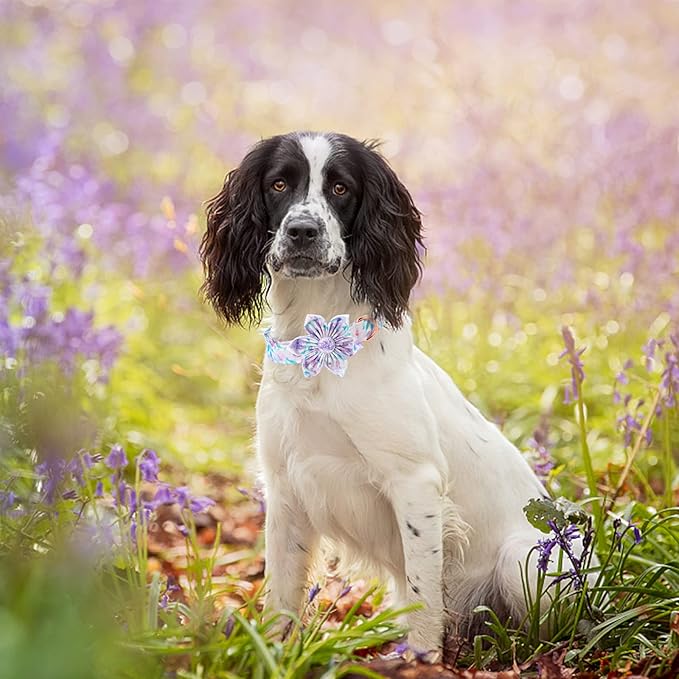Lionheart Glory Dog Collar - Purple With Flower, Cute Floral Pattern, Adjustable for X-Large Dogs