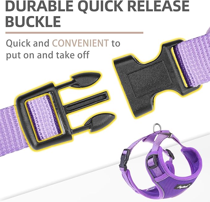 PUPTECK Dog Harness and Leash Set for Small Medium Dogs No Pull, Soft Mesh Adjustable Puppy Cat Harness Reflective at Night, Purple M