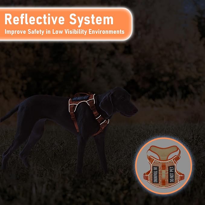 Dog Harness for X-Small Dog Breed, Light Pet Vest Harness with 2 Leash Clips and 3 Buckles, Easy to Wear, Adjustable Reflective Soft Padded, Boston Terrier, Beagle, Poodles, Orange XS