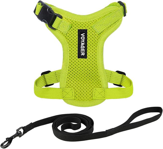 Voyager Step-in Lock Adjustable Cat Harness w. Cat Leash Combo Set with Neoprene Handle 5ft - Supports Small, Medium and Large Breed Cats by Best Pet Supplies - Lime Green, S