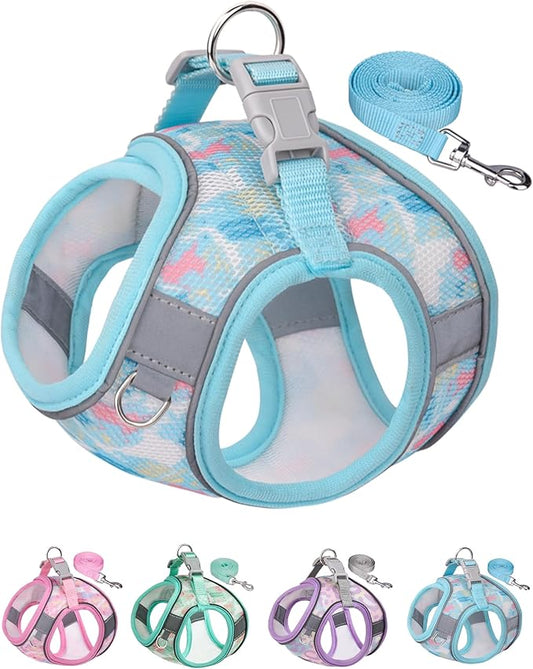 Dog Harness and Leash Set for Small Medium Dogs, No Pull, Step-in, Cat Harness (Blue, XS)